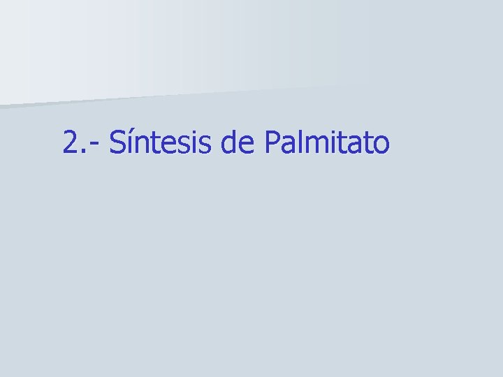 2. - Síntesis de Palmitato 