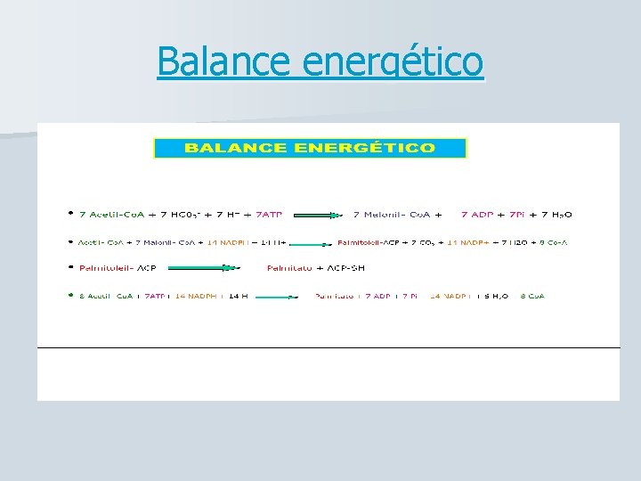 Balance energético 