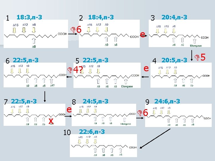 1 18: 3, n-3 2 18: 4, n-3 6 6 22: 5, n-3 7