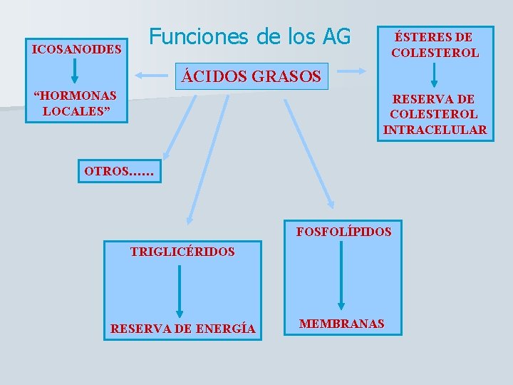 ICOSANOIDES Funciones de los AG ÉSTERES DE COLESTEROL ÁCIDOS GRASOS “HORMONAS LOCALES” RESERVA DE