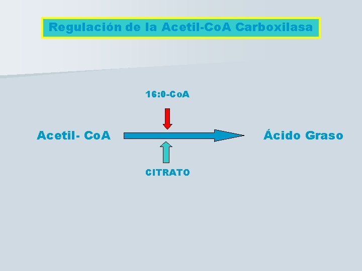 Regulación de la Acetil-Co. A Carboxilasa 16: 0 -Co. A Acetil- Co. A Ácido