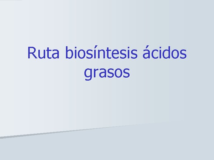 Ruta biosíntesis ácidos grasos 