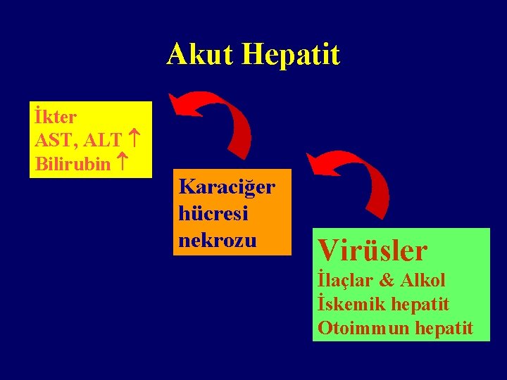 Akut Hepatit İkter AST, ALT Bilirubin Karaciğer hücresi nekrozu Virüsler İlaçlar & Alkol İskemik