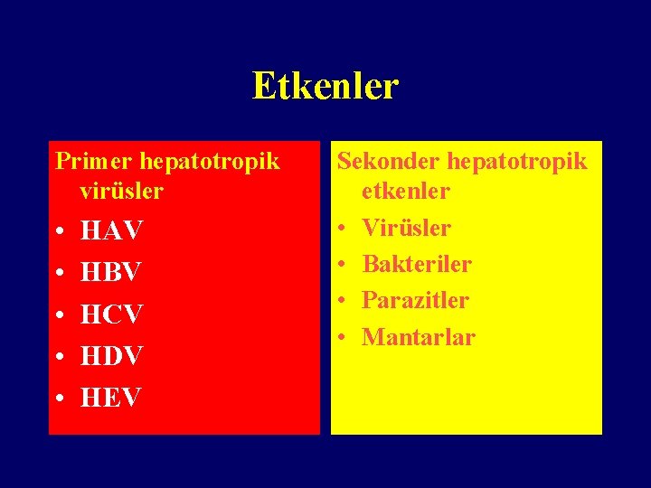 Etkenler Primer hepatotropik virüsler • • • HAV HBV HCV HDV HEV Sekonder hepatotropik