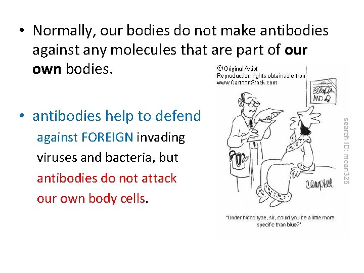  • Normally, our bodies do not make antibodies against any molecules that are