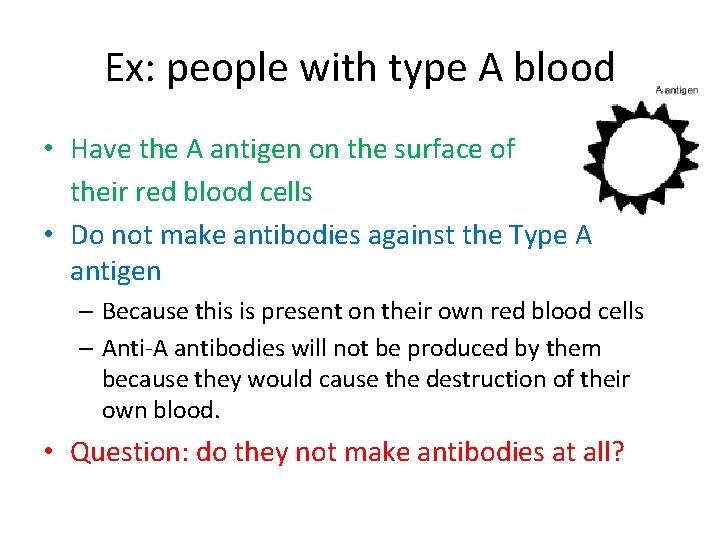 Ex: people with type A blood • Have the A antigen on the surface