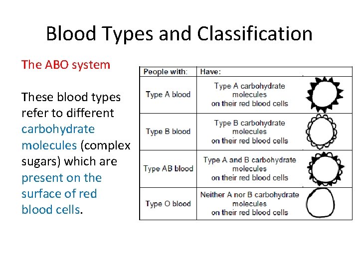Blood Types and Classification The ABO system These blood types refer to different carbohydrate