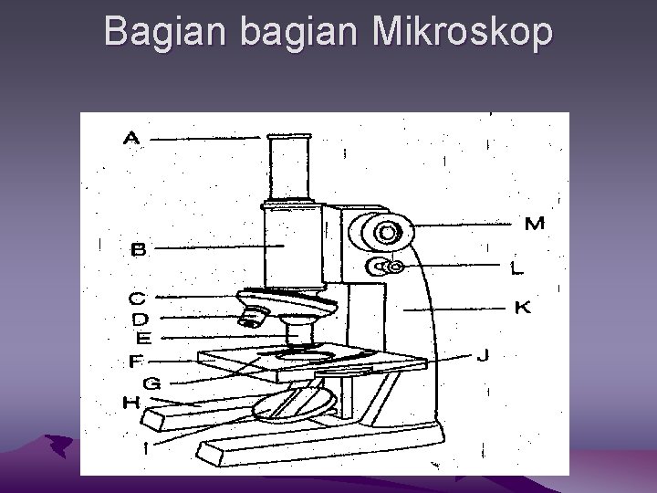 Bagian bagian Mikroskop 