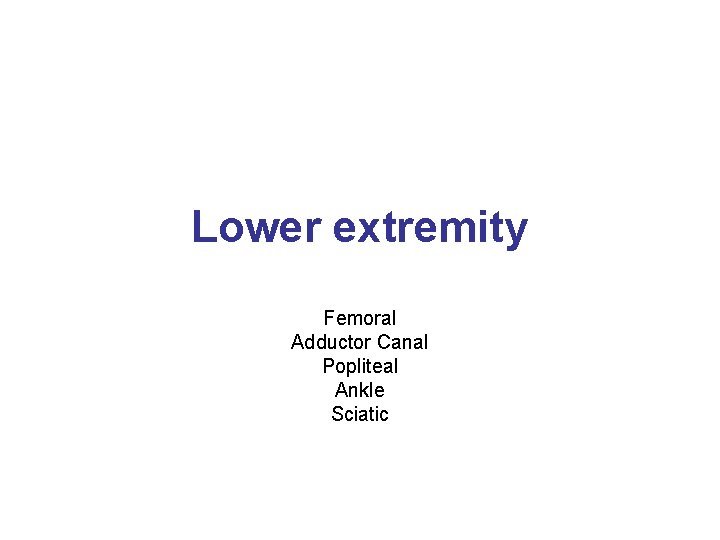 Lower extremity Femoral Adductor Canal Popliteal Ankle Sciatic 