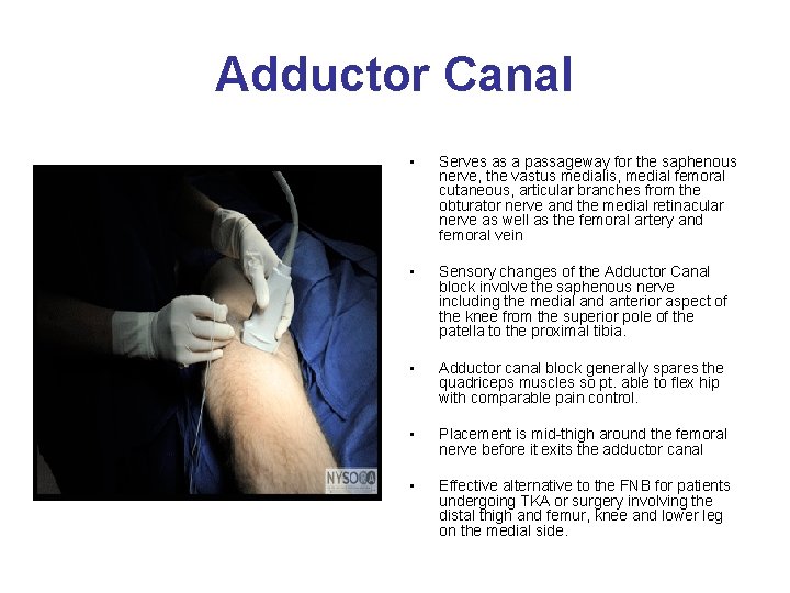 Adductor Canal • Serves as a passageway for the saphenous nerve, the vastus medialis,