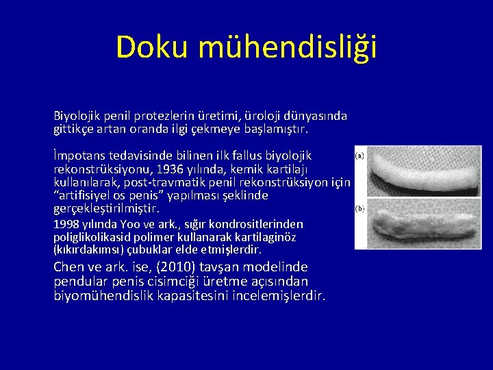 Doku mühendisliği Biyolojik penil protezlerin üretimi, üroloji dünyasında gittikçe artan oranda ilgi çekmeye başlamıştır.