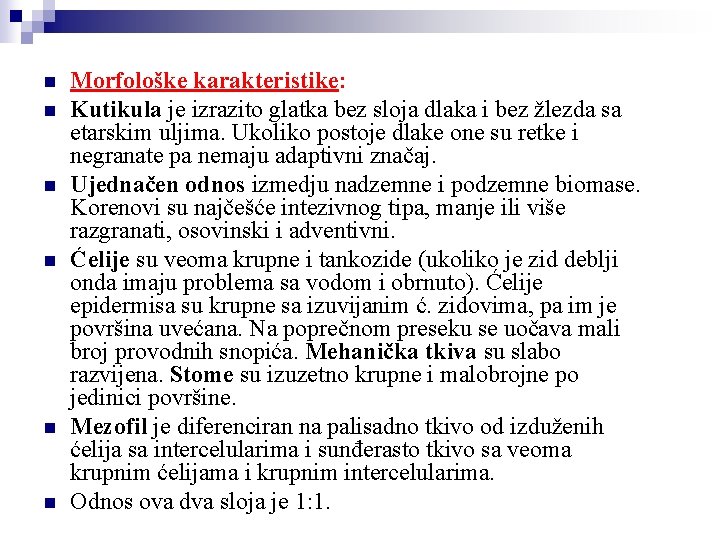 n n n Morfološke karakteristike: Kutikula je izrazito glatka bez sloja dlaka i bez