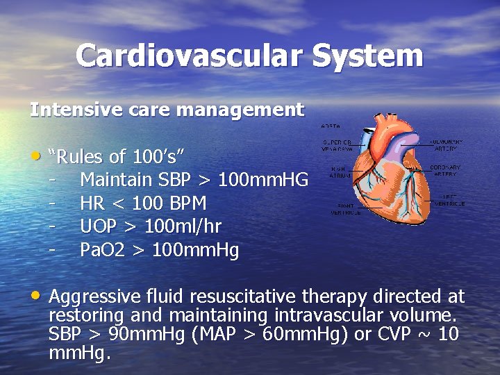 Cardiovascular System Intensive care management • “Rules of 100’s” - Maintain SBP > 100