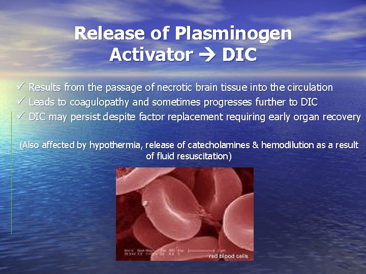 Release of Plasminogen Activator DIC ü Results from the passage of necrotic brain tissue