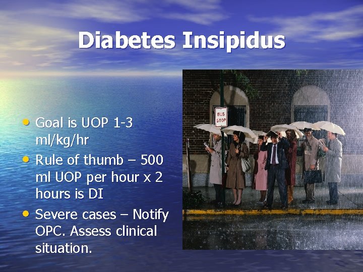 Diabetes Insipidus • Goal is UOP 1 -3 • • ml/kg/hr Rule of thumb