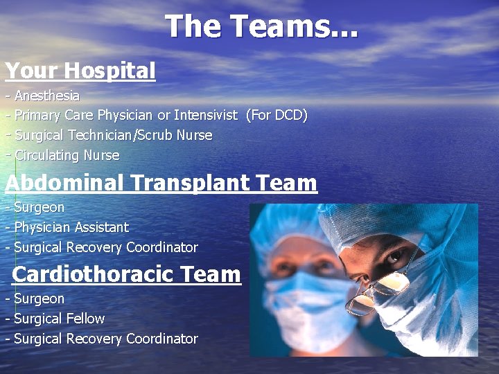 The Teams. . . Your Hospital - Anesthesia - Primary Care Physician or Intensivist