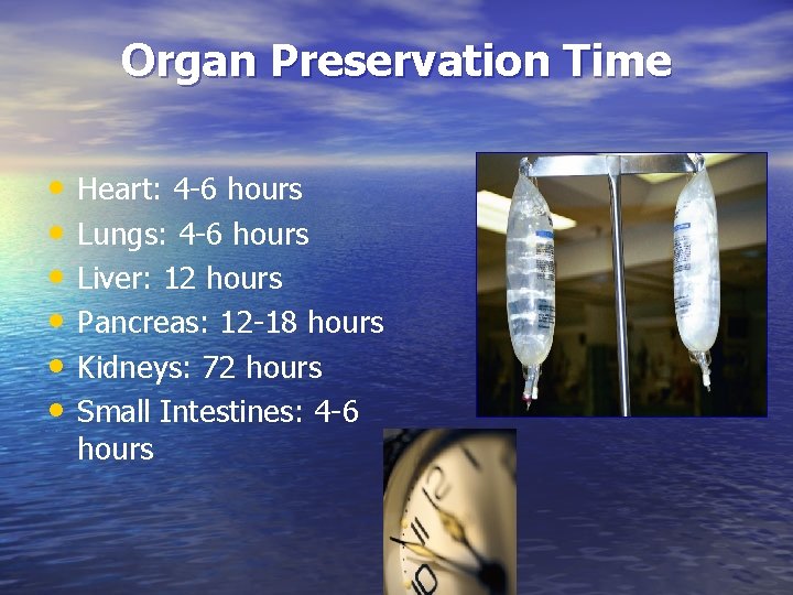 Organ Preservation Time • • • Heart: 4 -6 hours Lungs: 4 -6 hours