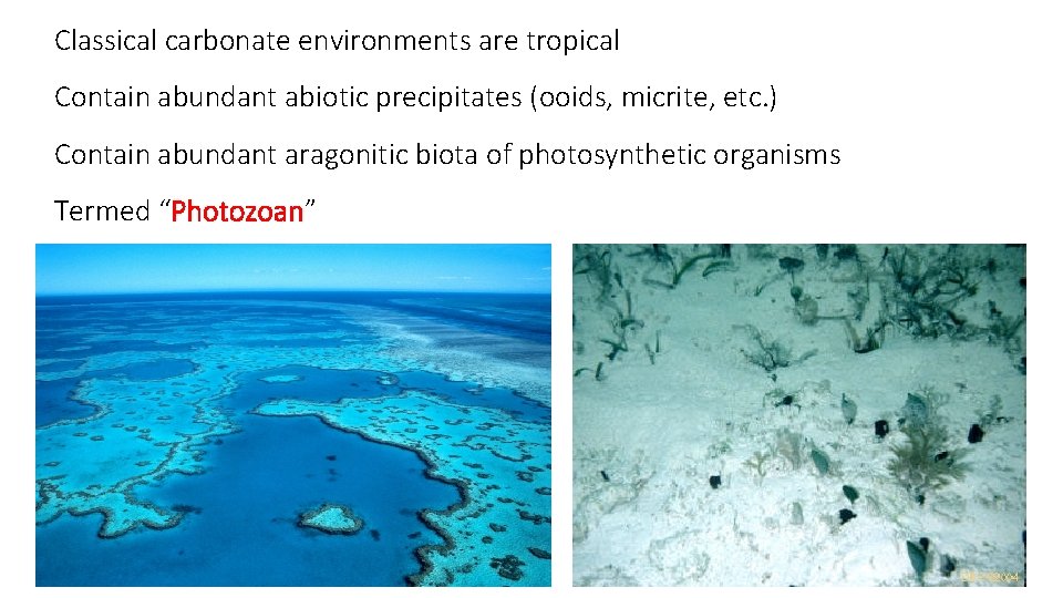 Classical carbonate environments are tropical Contain abundant abiotic precipitates (ooids, micrite, etc. ) Contain