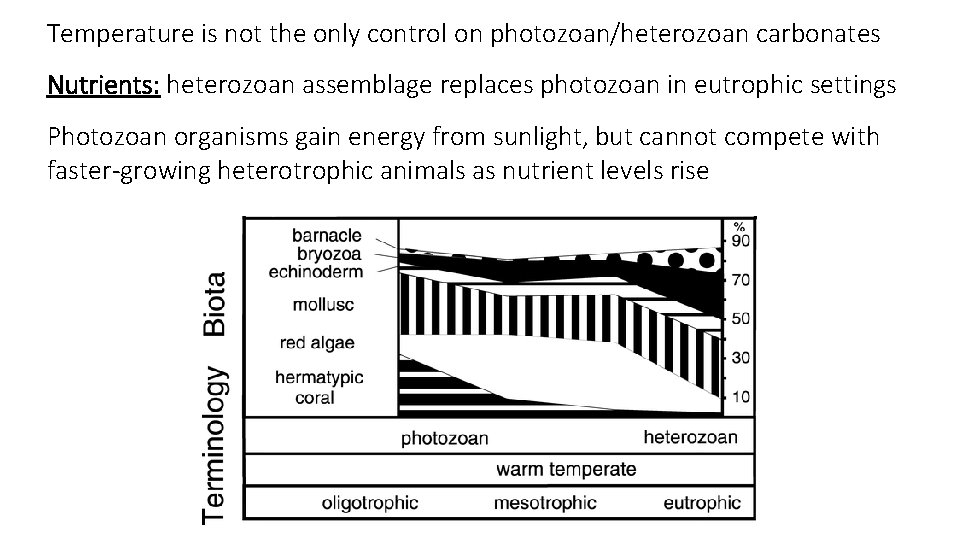 Temperature is not the only control on photozoan/heterozoan carbonates Nutrients: heterozoan assemblage replaces photozoan