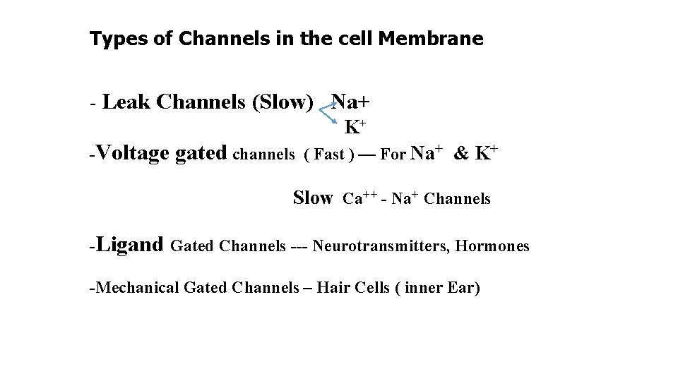 Types of Channels in the cell Membrane - Leak Channels (Slow) Na+ K+ -Voltage