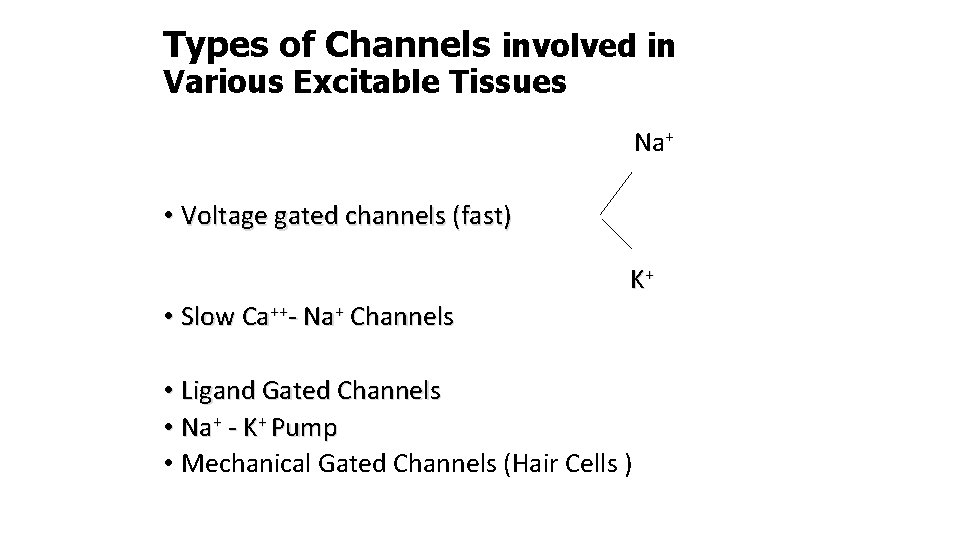 Types of Channels involved in Various Excitable Tissues Na+ • Voltage gated channels (fast)