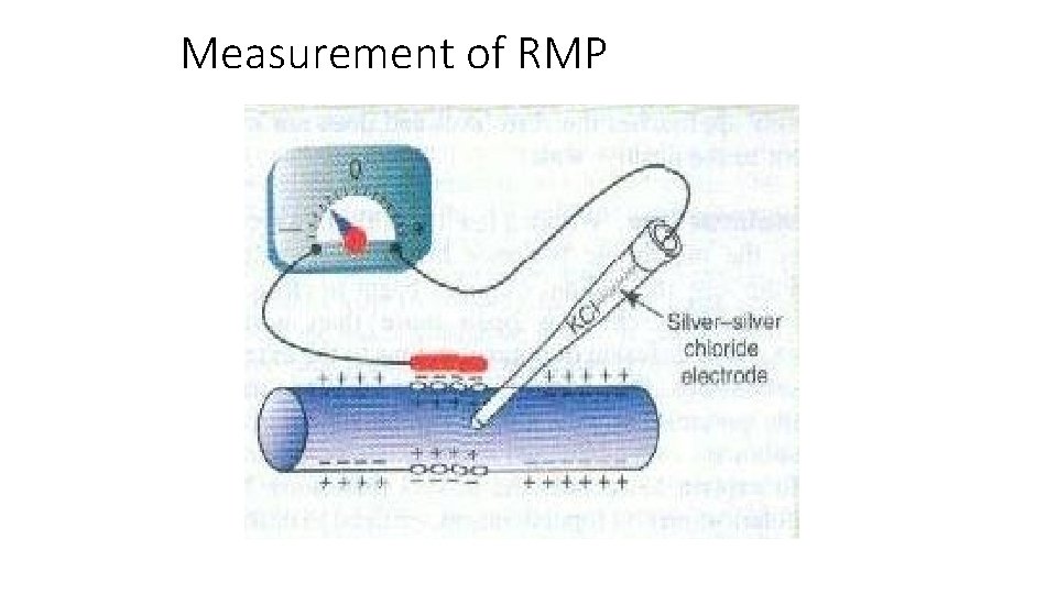 Measurement of RMP 