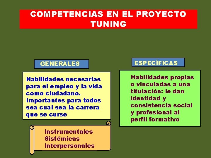 COMPETENCIAS EN EL PROYECTO TUNING GENERALES Habilidades necesarias para el empleo y la vida