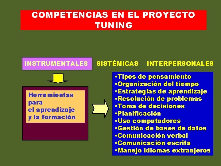 COMPETENCIAS EN EL PROYECTO TUNING INSTRUMENTALES Herramientas para el aprendizaje y la formación SISTÉMICAS