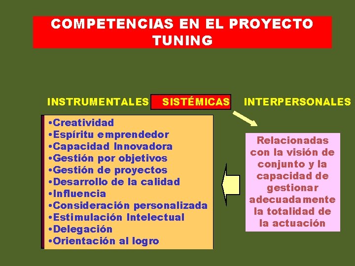 COMPETENCIAS EN EL PROYECTO TUNING INSTRUMENTALES SISTÉMICAS • Creatividad • Espíritu emprendedor • Capacidad