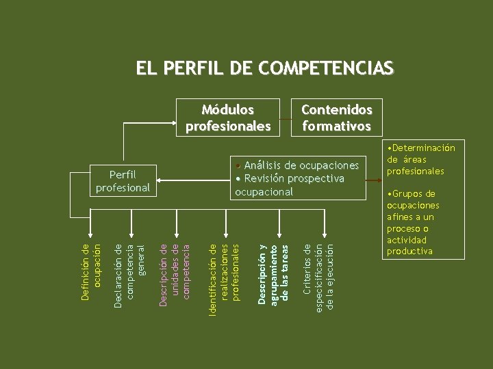 EL PERFIL DE COMPETENCIAS Módulos profesionales Criterios de especicificación de la ejecución Descripción y