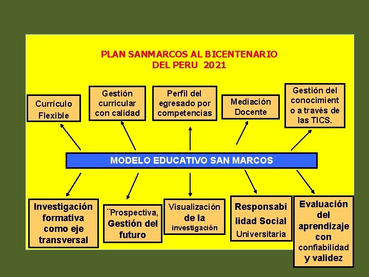 PLAN SANMARCOS AL BICENTENARIO DEL PERU 2021 Currículo Flexible Gestión curricular con calidad Perfil