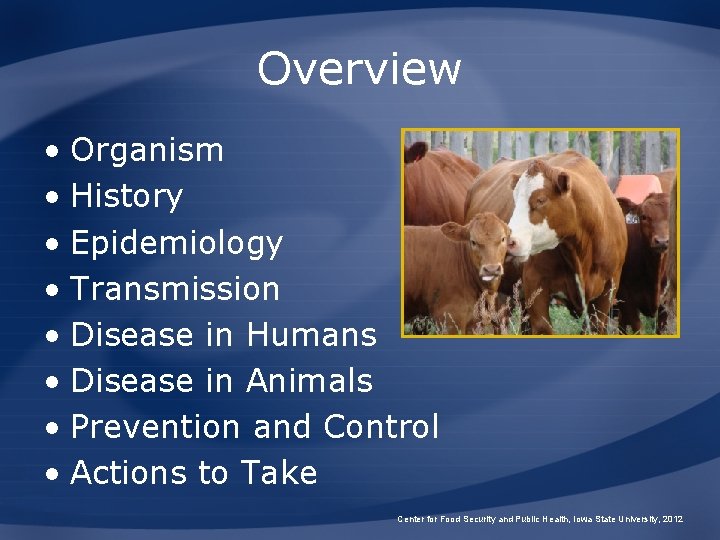 Overview • Organism • History • Epidemiology • Transmission • Disease in Humans •
