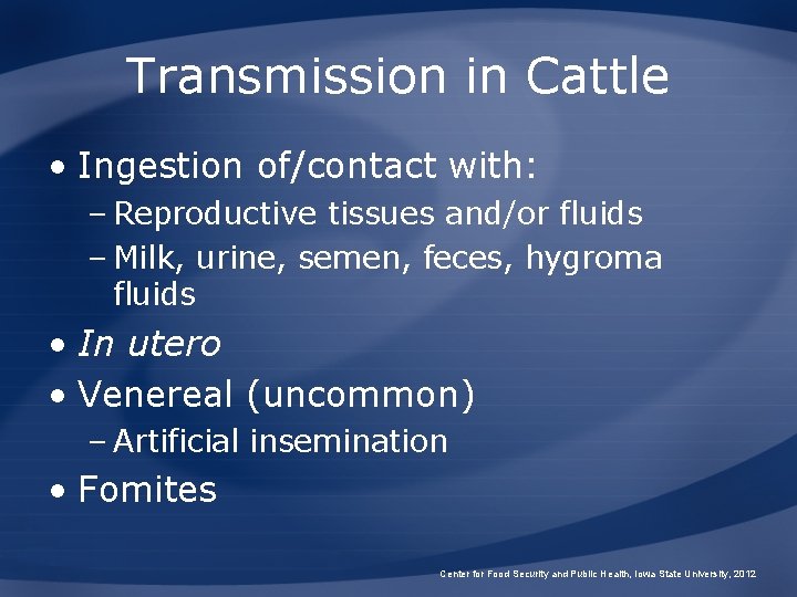 Transmission in Cattle • Ingestion of/contact with: – Reproductive tissues and/or fluids – Milk,