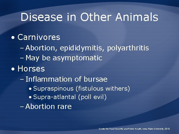 Disease in Other Animals • Carnivores – Abortion, epididymitis, polyarthritis – May be asymptomatic