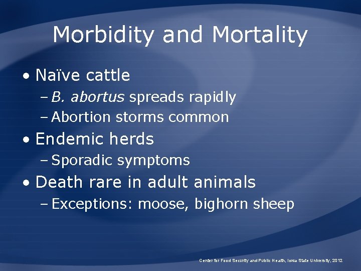 Morbidity and Mortality • Naïve cattle – B. abortus spreads rapidly – Abortion storms