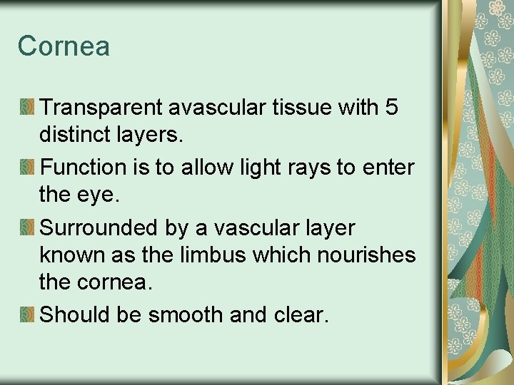 Cornea Transparent avascular tissue with 5 distinct layers. Function is to allow light rays