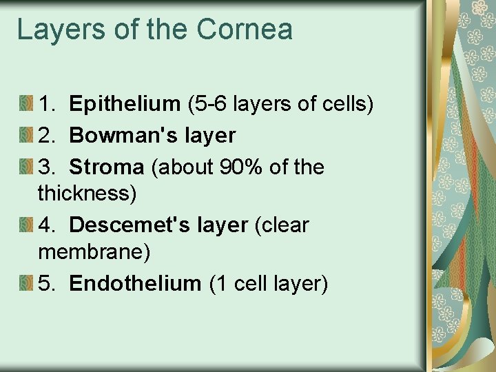 Layers of the Cornea 1. Epithelium (5 -6 layers of cells) 2. Bowman's layer
