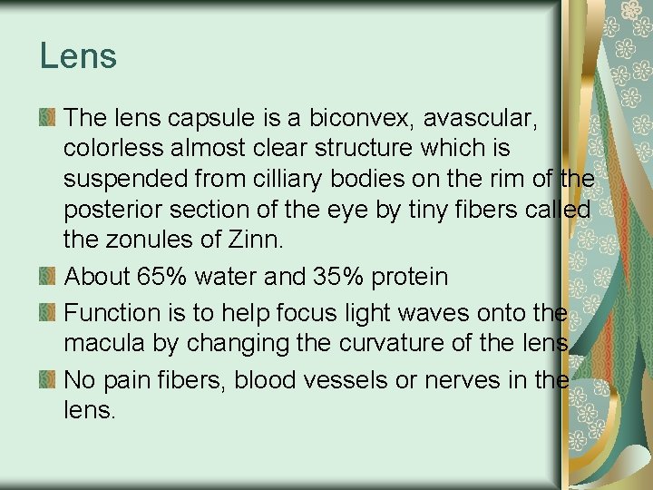 Lens The lens capsule is a biconvex, avascular, colorless almost clear structure which is