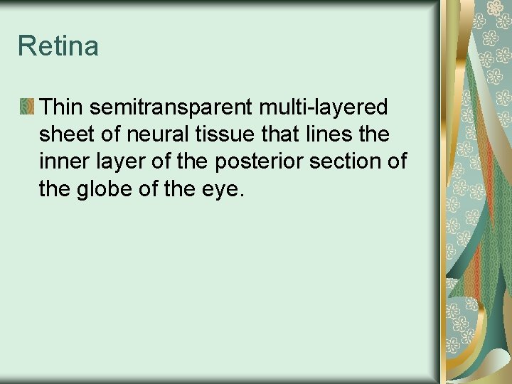 Retina Thin semitransparent multi-layered sheet of neural tissue that lines the inner layer of