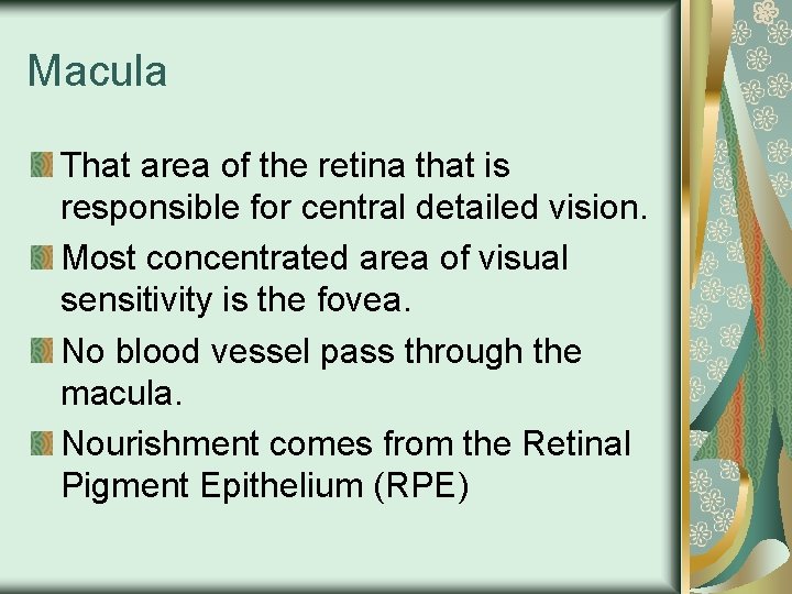 Macula That area of the retina that is responsible for central detailed vision. Most