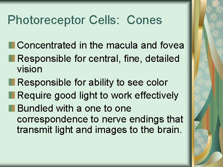 Anatomy and Physiology of the Eye BJ Le