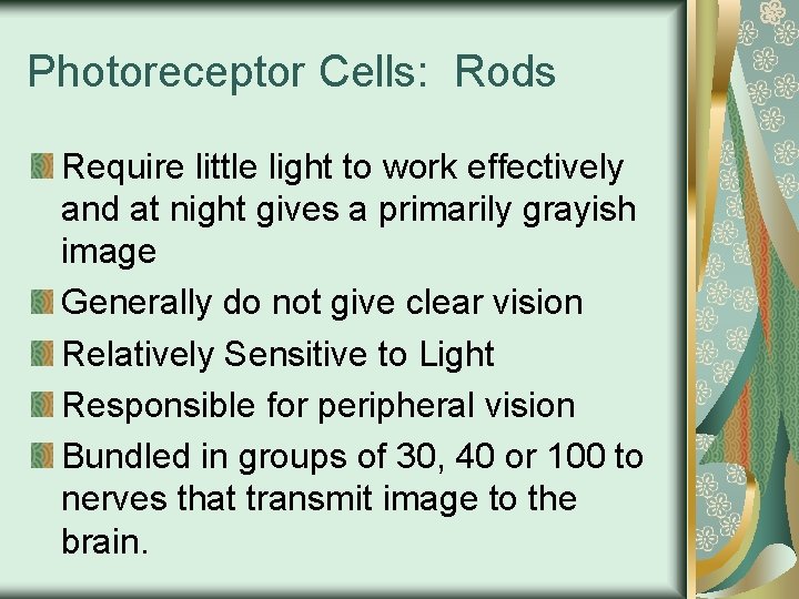Photoreceptor Cells: Rods Require little light to work effectively and at night gives a