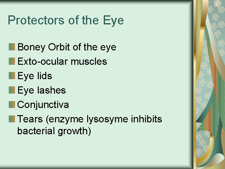 Protectors of the Eye Boney Orbit of the eye Exto-ocular muscles Eye lids Eye