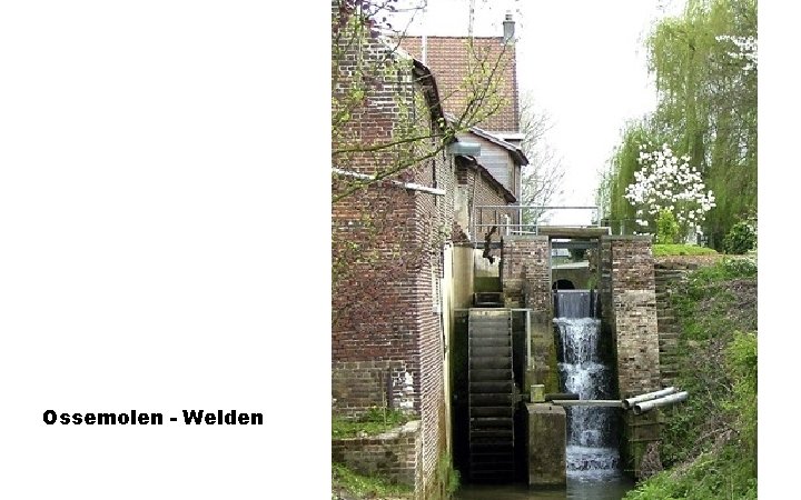 Ossemolen - Welden 