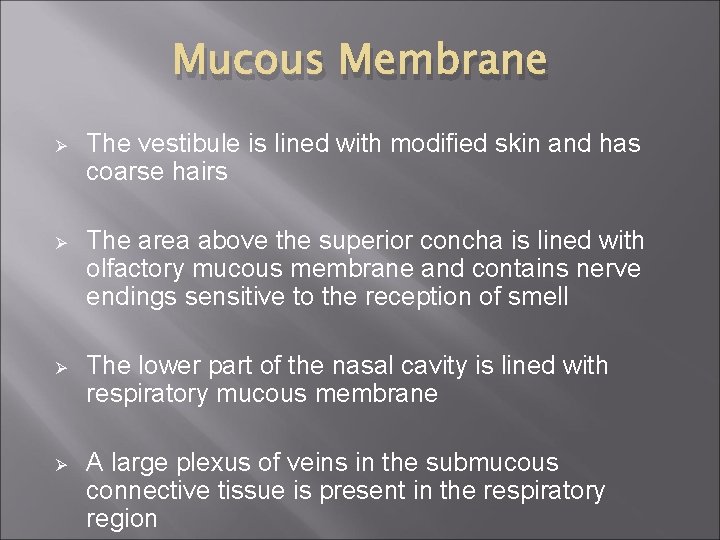 Mucous Membrane Ø The vestibule is lined with modified skin and has coarse hairs