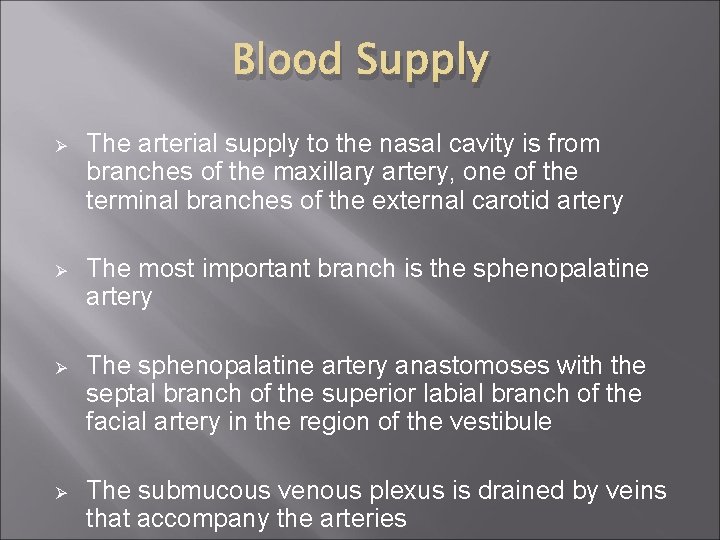 Blood Supply Ø The arterial supply to the nasal cavity is from branches of
