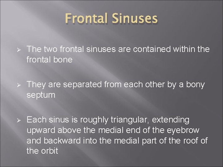 Frontal Sinuses Ø The two frontal sinuses are contained within the frontal bone Ø