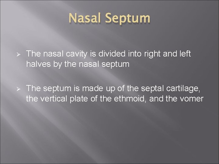 Nasal Septum Ø The nasal cavity is divided into right and left halves by