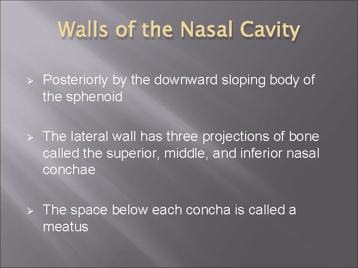 Walls of the Nasal Cavity Ø Posteriorly by the downward sloping body of the