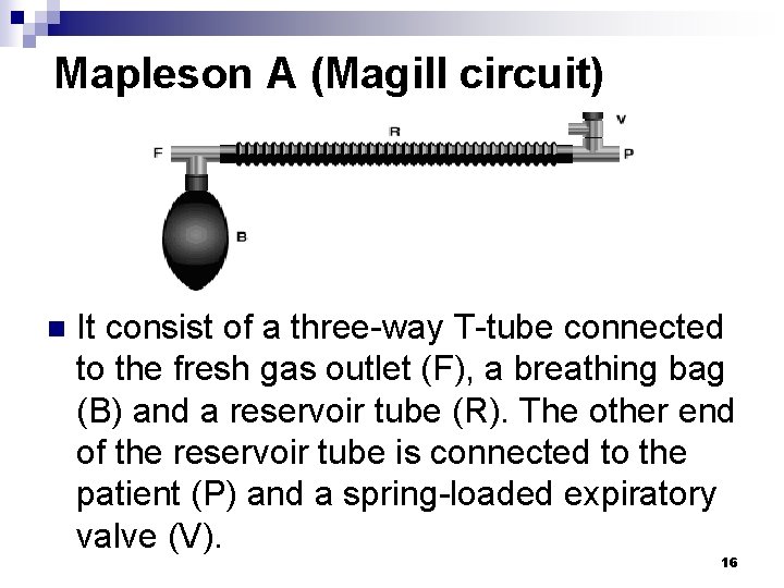 Mapleson A (Magill circuit) n It consist of a three-way T-tube connected to the